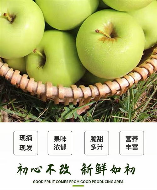 產(chǎn)地直銷(xiāo) 陜西青蘋(píng)果5斤13.8元 徐香獼猴桃20枚14.8元