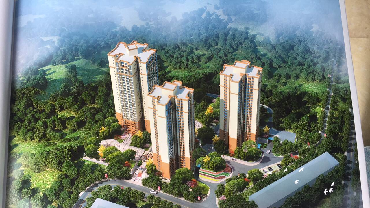 1506062573635622p19B.png 1506062573635622p19B.png